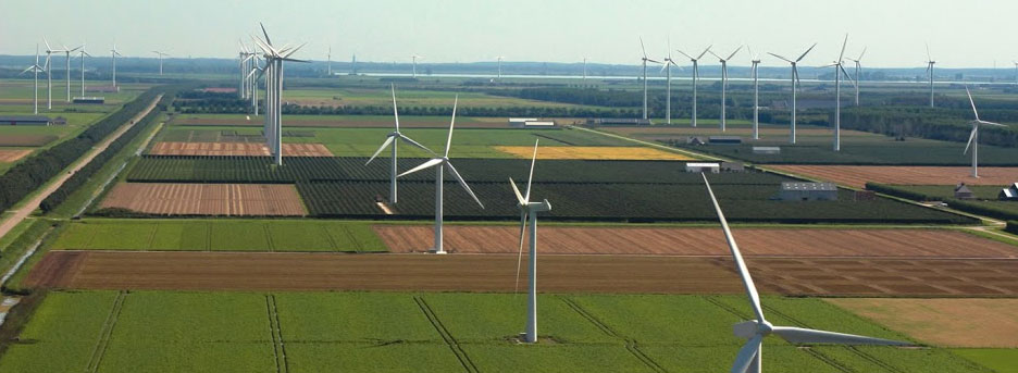 Look At The Numerous Wind Farm In The Park