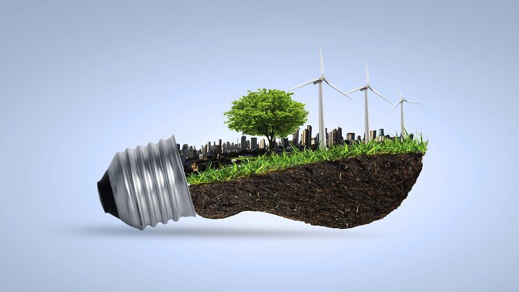 Light bulb with soil, tree, and wind turbines representing sustainable energy.